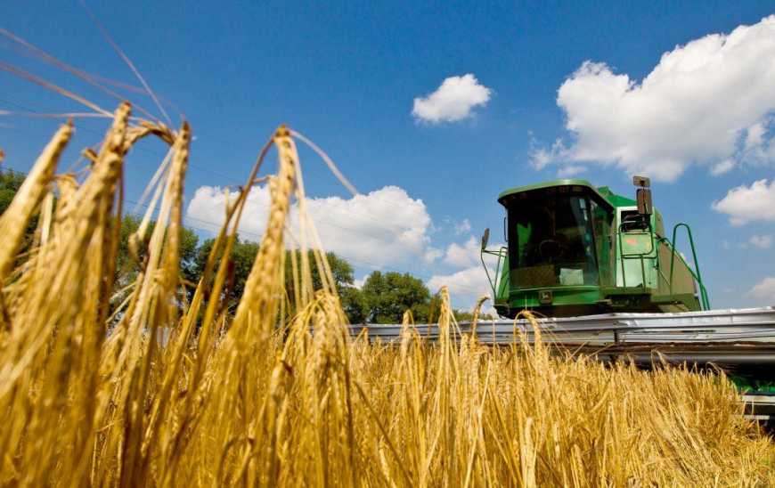 Ukraine begins 2022 harvest, reports Odesa Regional State Administration