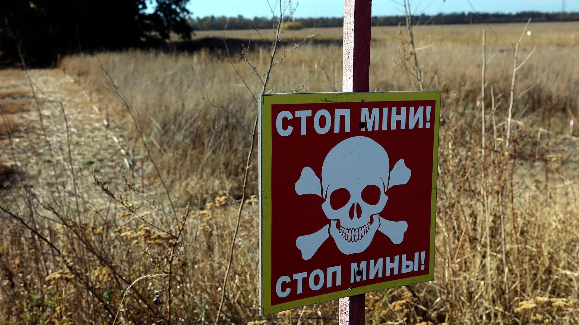 Ukraine severely mined: over a million weapons and UXO