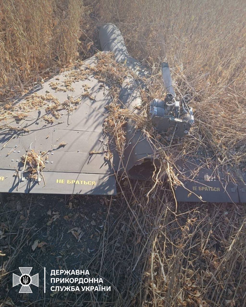 Ukrainian border guards shoot down Russian Shahed drone with small arms