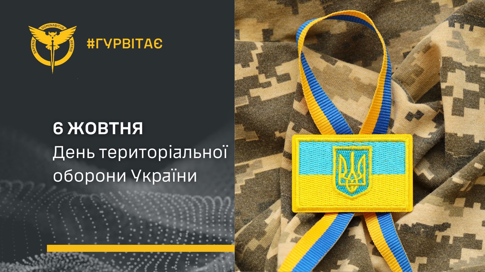 Ukraine Territorial Defense Day