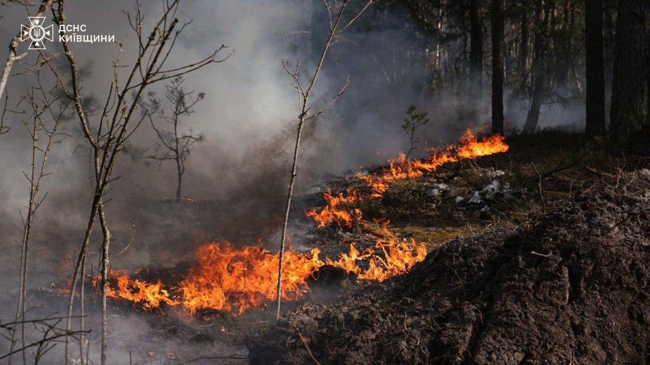 Major fire in Chernobyl Exclusion Zone