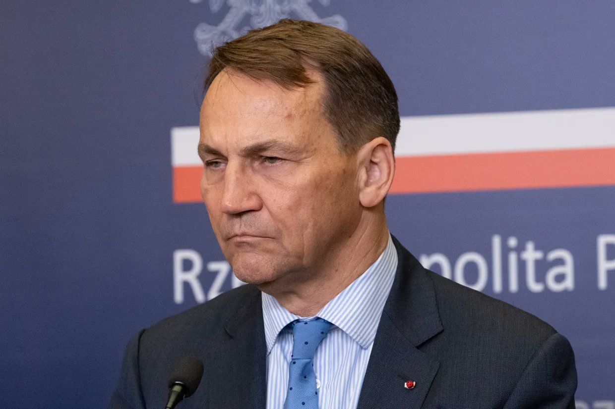 Polish FM proposes UN mandate and referendum for Crimea in peace talks