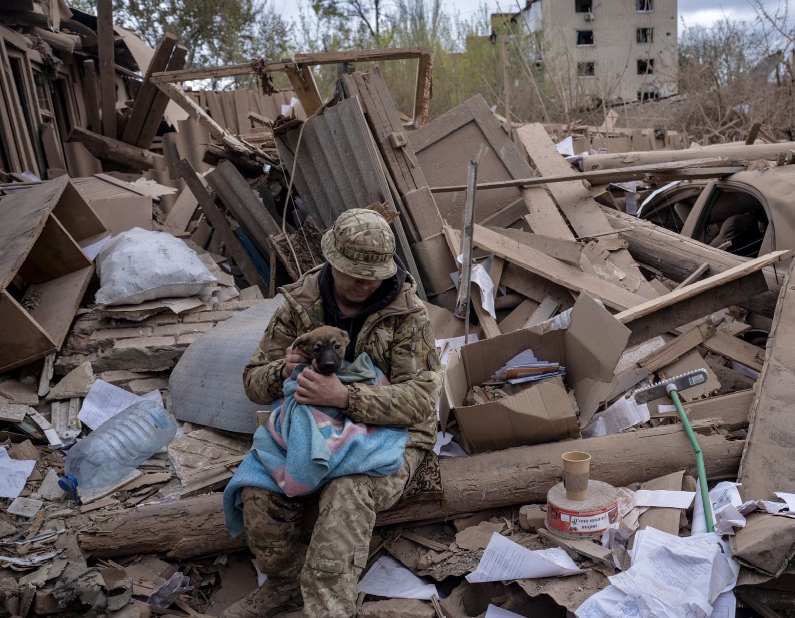 Ukrainian Soldier and Dog Rescued from Russian Airstrike Rubble