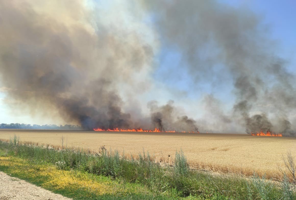 Police investigates intentional crop destruction in Kherson by Russian forces
