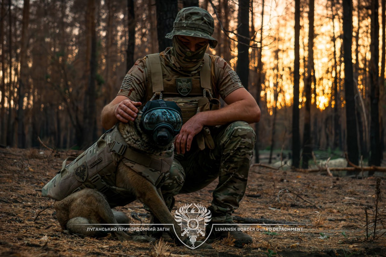 Belgian Shepherd Buddy in Luhansk Pomsta Brigade