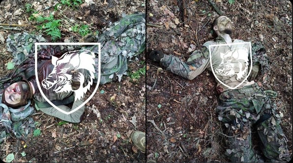 Ukrainian soldiers in Chernihiv region destroyed a group