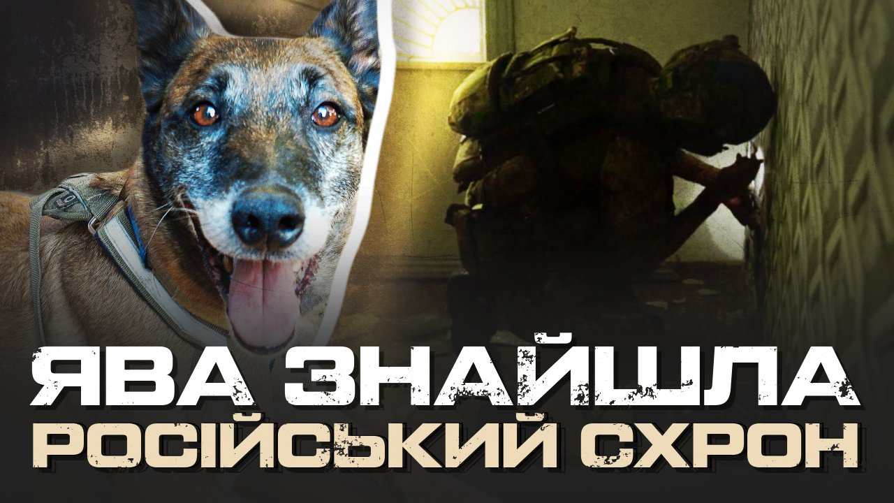 Omega Scent Dogs Seek Russian Shelters in Kharkiv Region