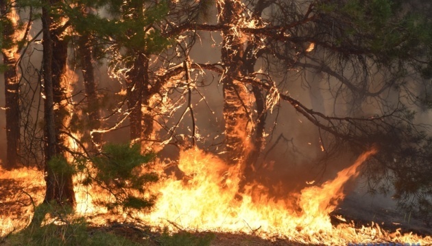 Occupants prevent fire suppression on Kinburn Spit