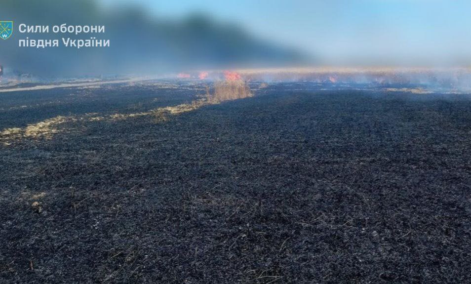 Wheat field fire in Odesa region after Russian Iskander strike