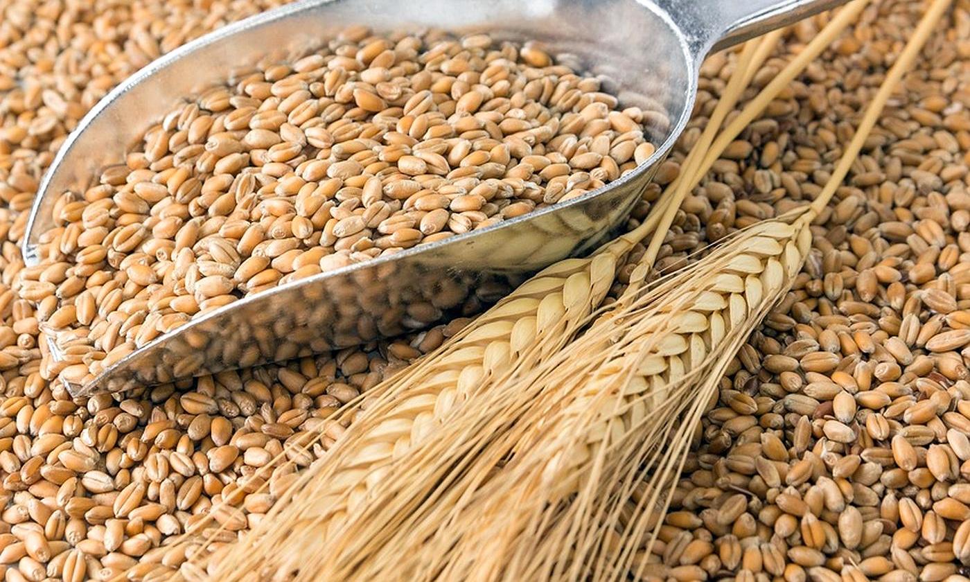 Russians take grain and other produce from Zaporizhzhia to occupied Crimea