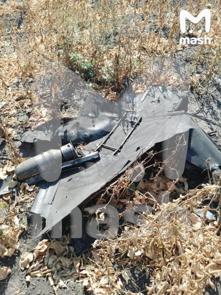 Russian media show wreckage of Ukrainian Palyanitsa drone-missile