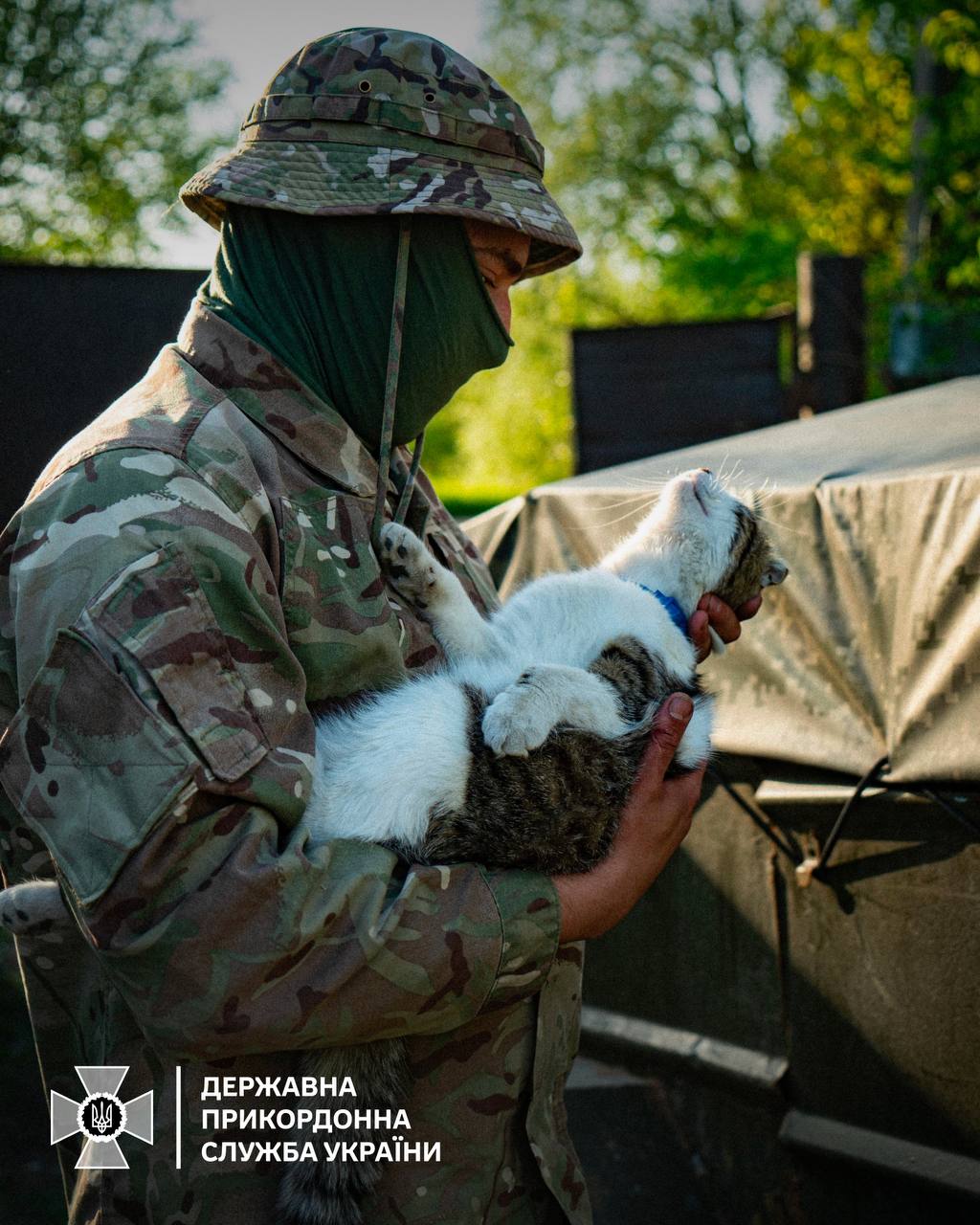Ukrainian Border Guards Rescue Cat Joe