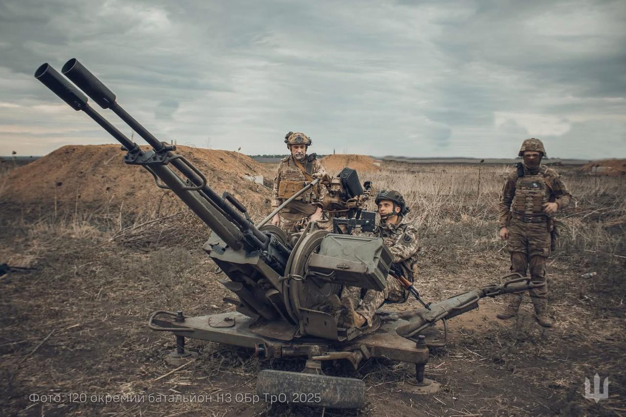 Defenders of the Sky — 113th TDF Brigade