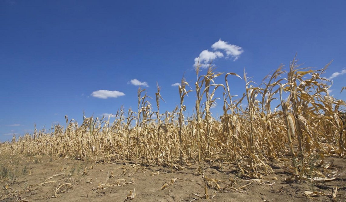 Ecological and economic crisis in occupied Ukraine