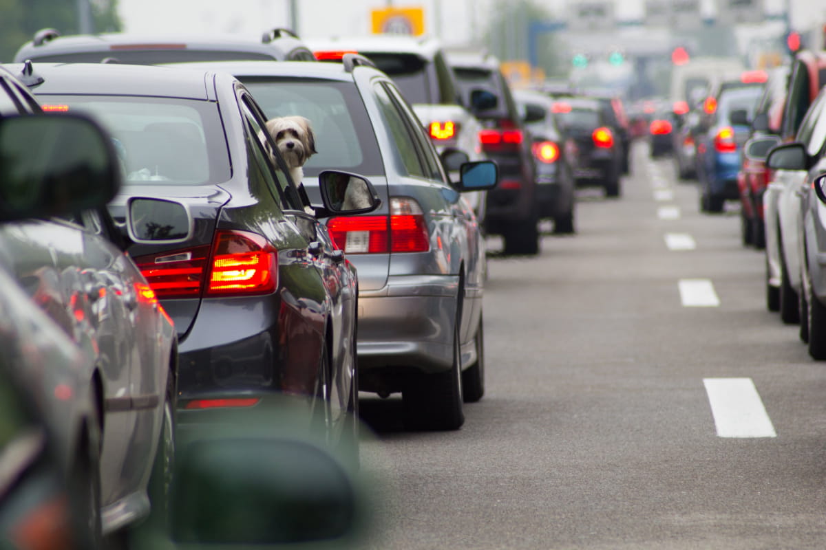 Car mobilization: who and under what conditions can lose their vehicle