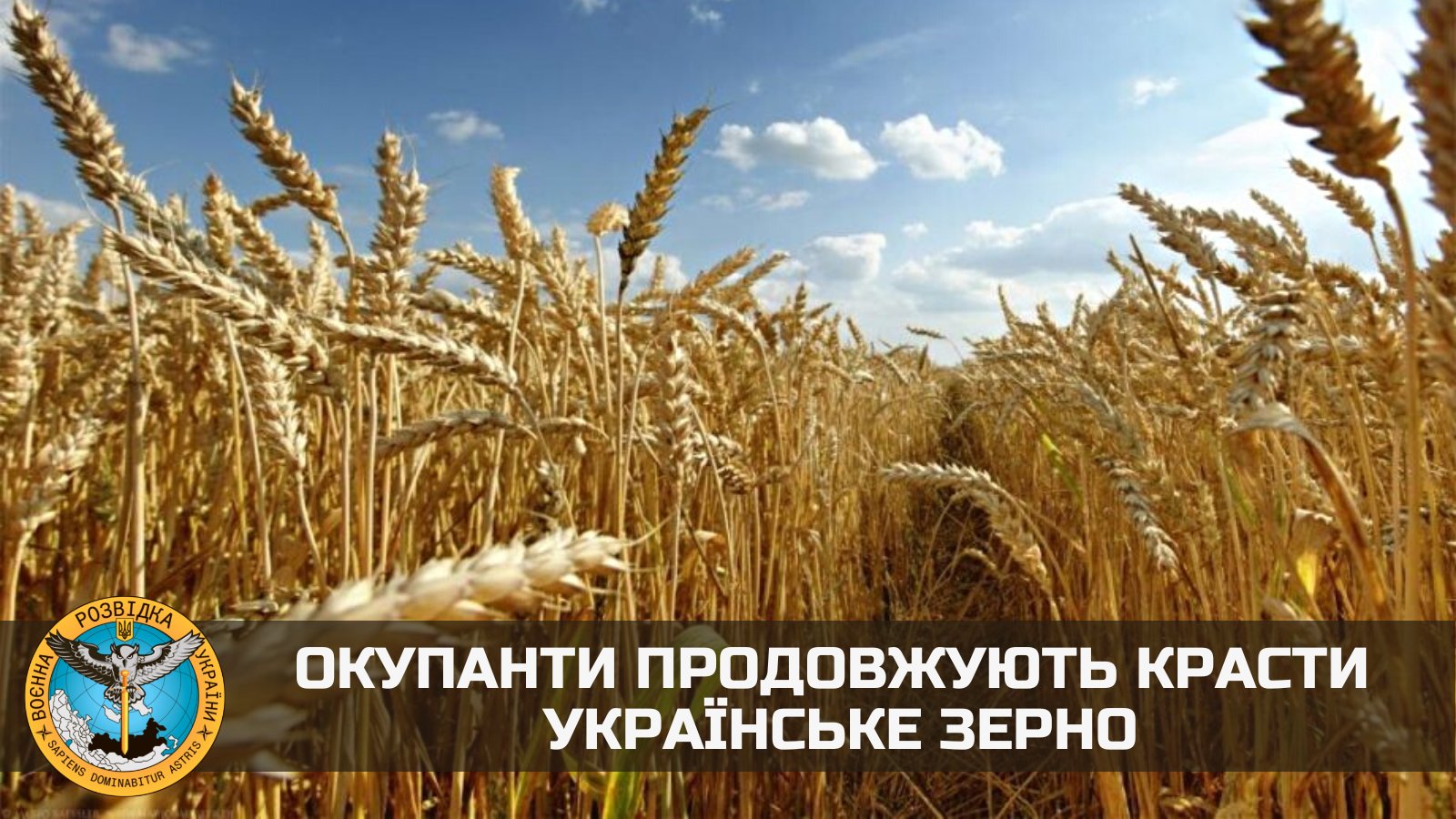 Occupants steal Ukrainian grain in Syrian ports