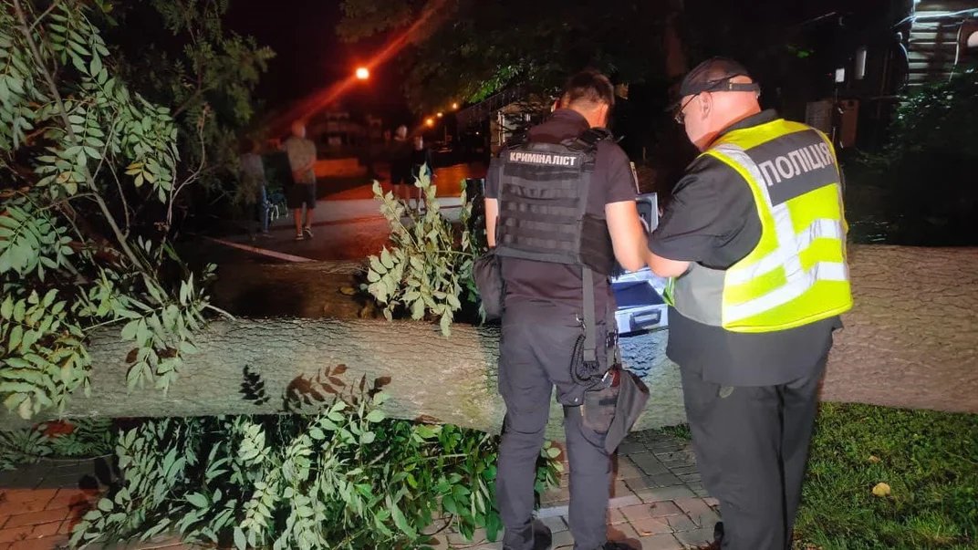 Tree falls in Kyiv park, one dead, three injured