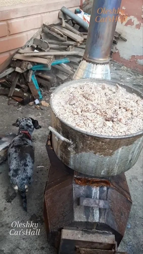 Oleshky faces severe food shortages, with long lines and high prices.