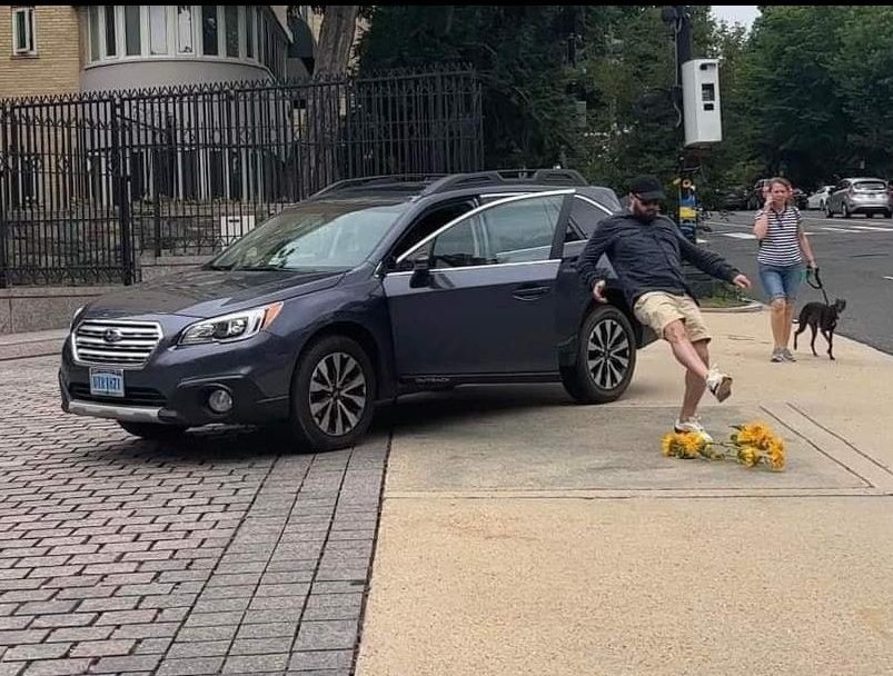 Russian diplomat tramples sunflowers at embassy