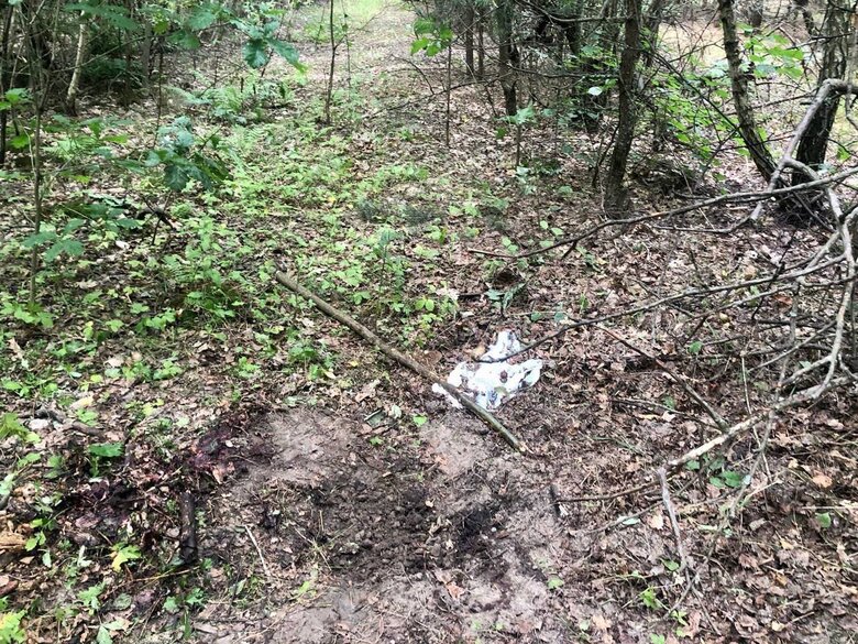 Resident of Kyiv region exploded on anti-personnel mine in forest