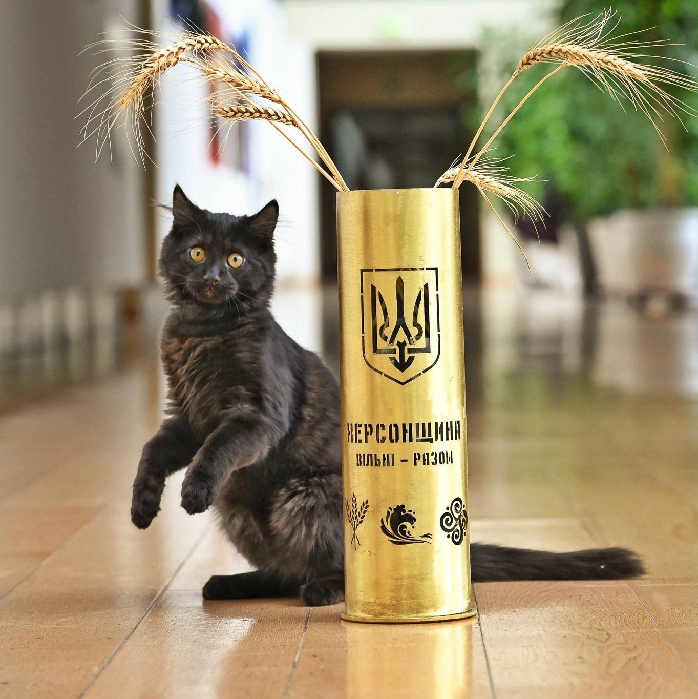 Rango, Lithuania’s Diplocat, Honored for Kherson Animal Fundraising Efforts