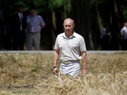 EU adopts regulation to impose prohibitive tariffs on Russian and Belarusian grain imports