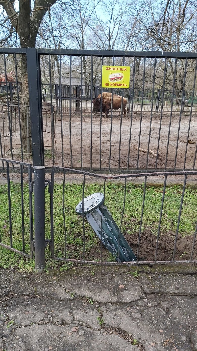 During the night shelling of Mykolaiv, the zoo was damaged