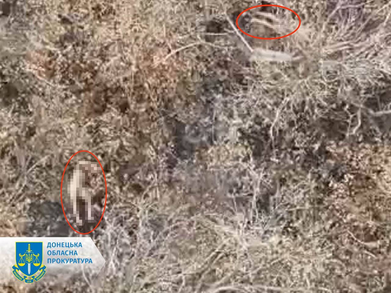Russians again executed Ukrainian prisoners on the Pokrovsk direction