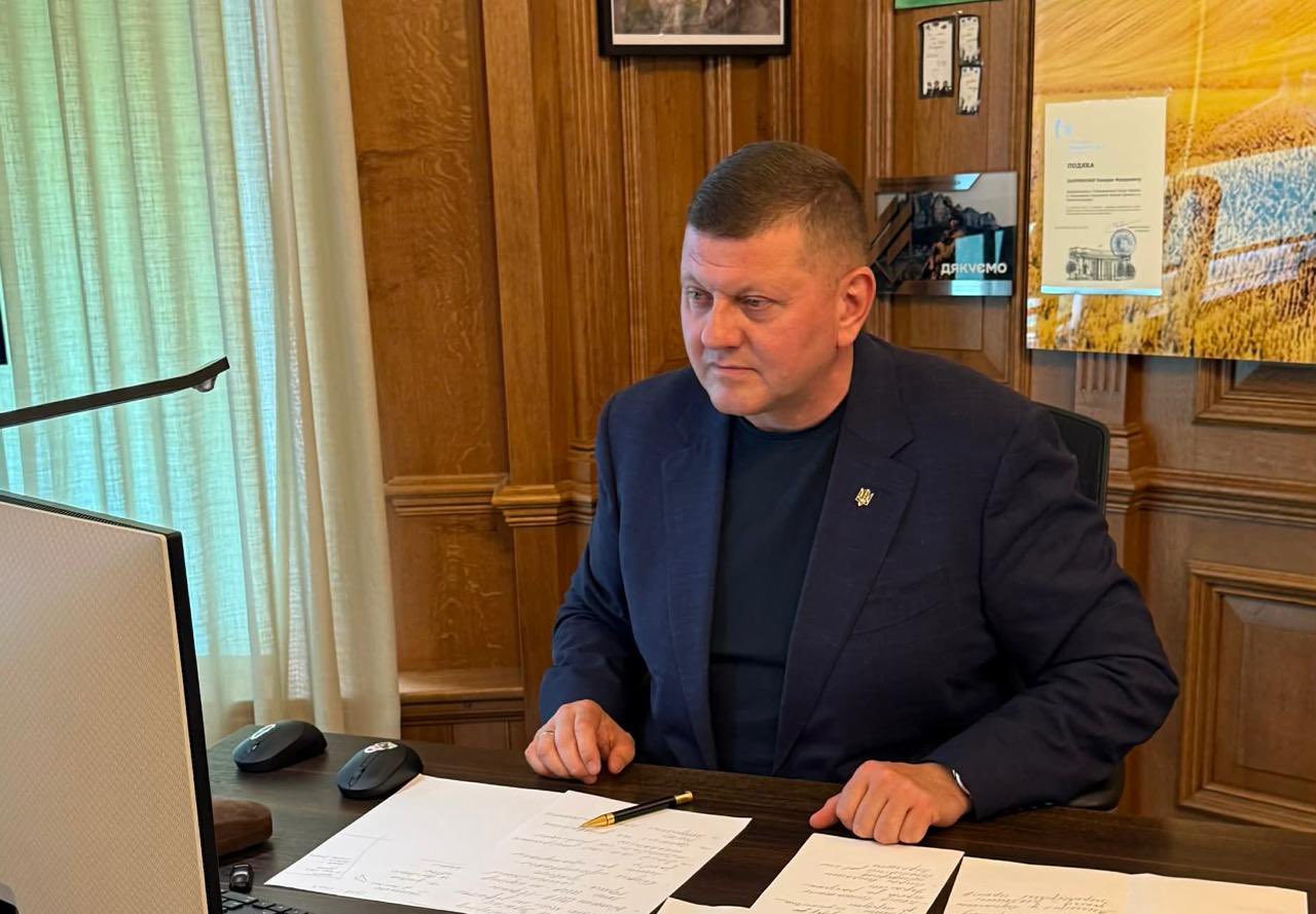 Zaluzhnyi: Old World Order Eroded After 2008 Georgia War