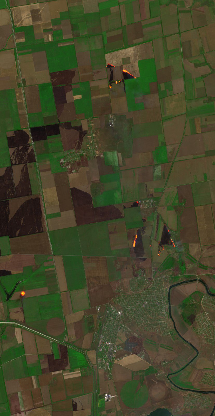 Burned fields between Kherson and Mykolaiv