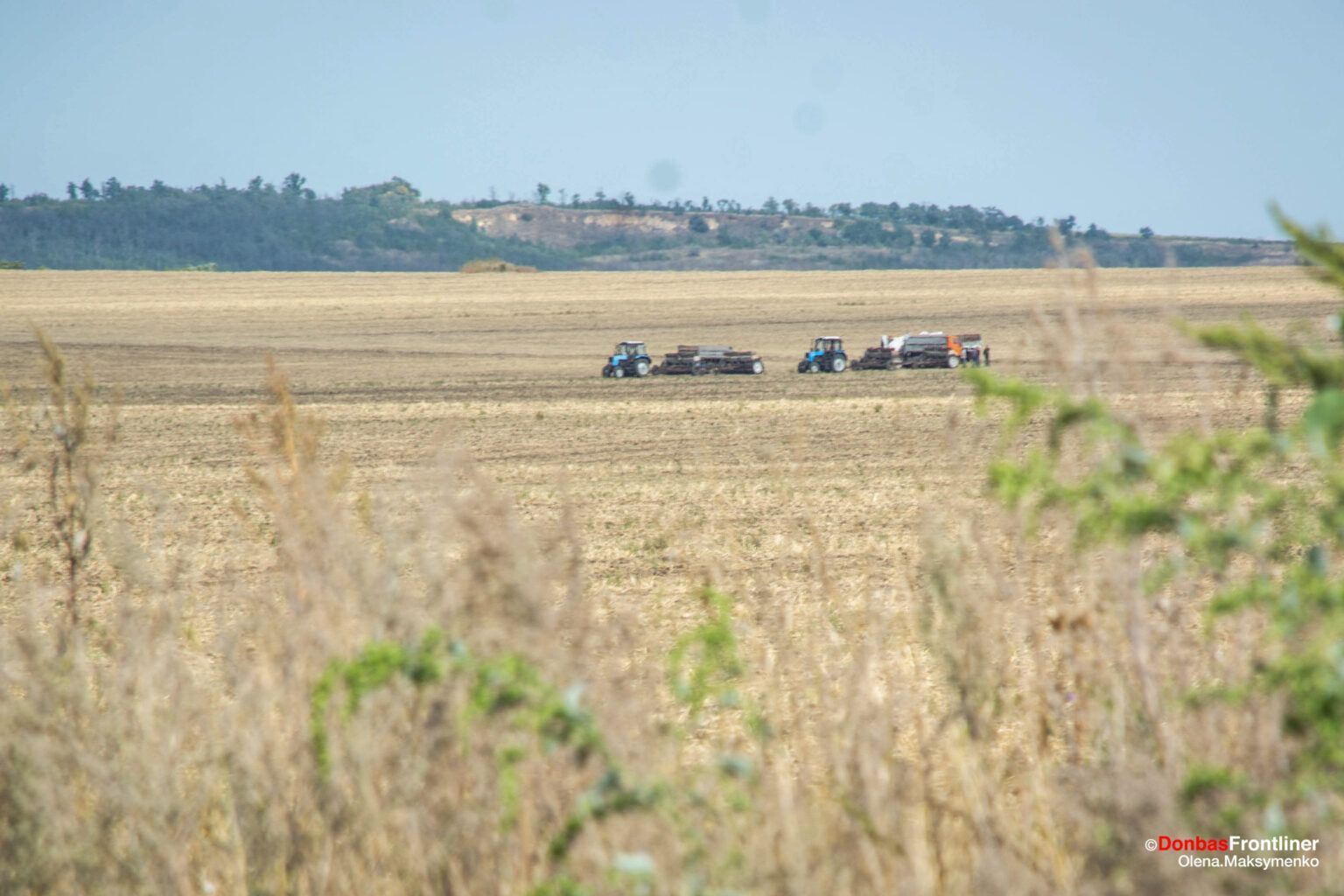 Ukraine’s record corn and sunflower harvests exceed EU output