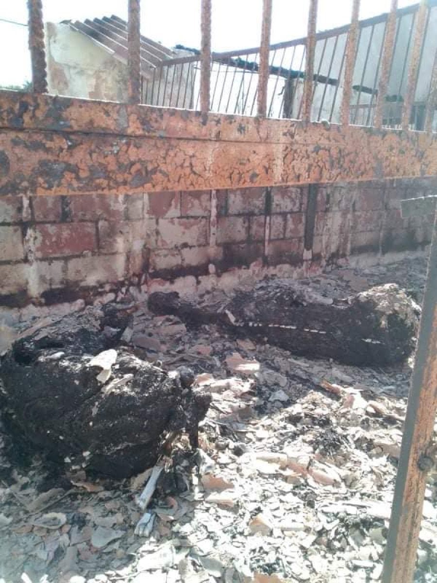 Horses burnt alive in Hostomel stable by Russian invaders