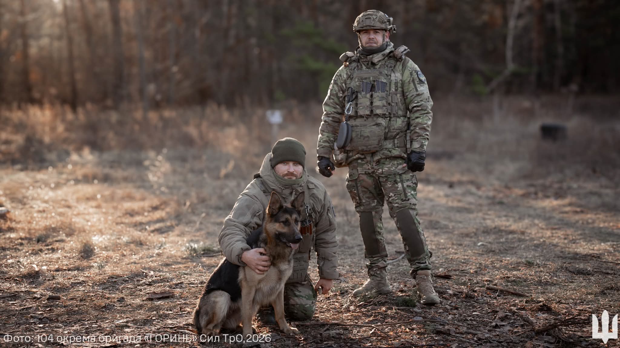 Four-legged friends boost morale and remind us of life