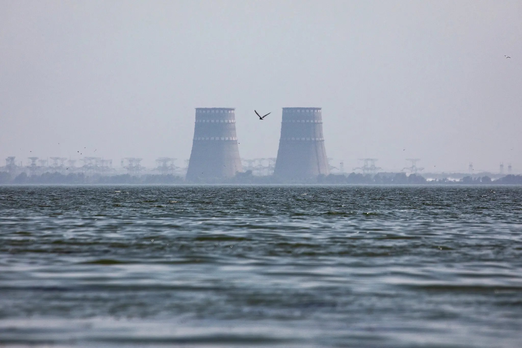 Zelenskyy: 90% peace deal, 10% dispute over Zaporizhzhia nuclear plant