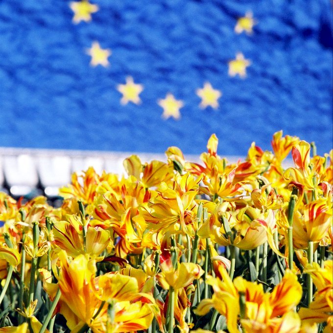 Ukraine’s Europe Day message: unity crucial against Russian aggression