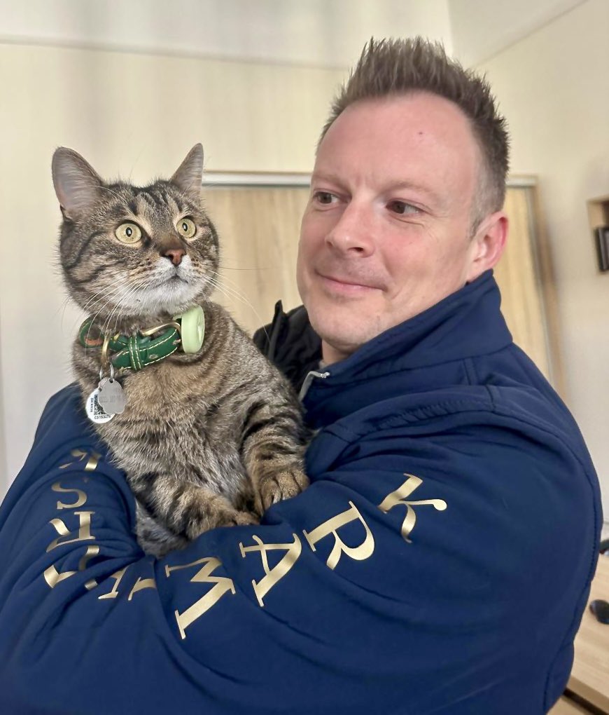 Levchyk the Cat Mayor of Lviv plans pet hotel for war-displaced animals