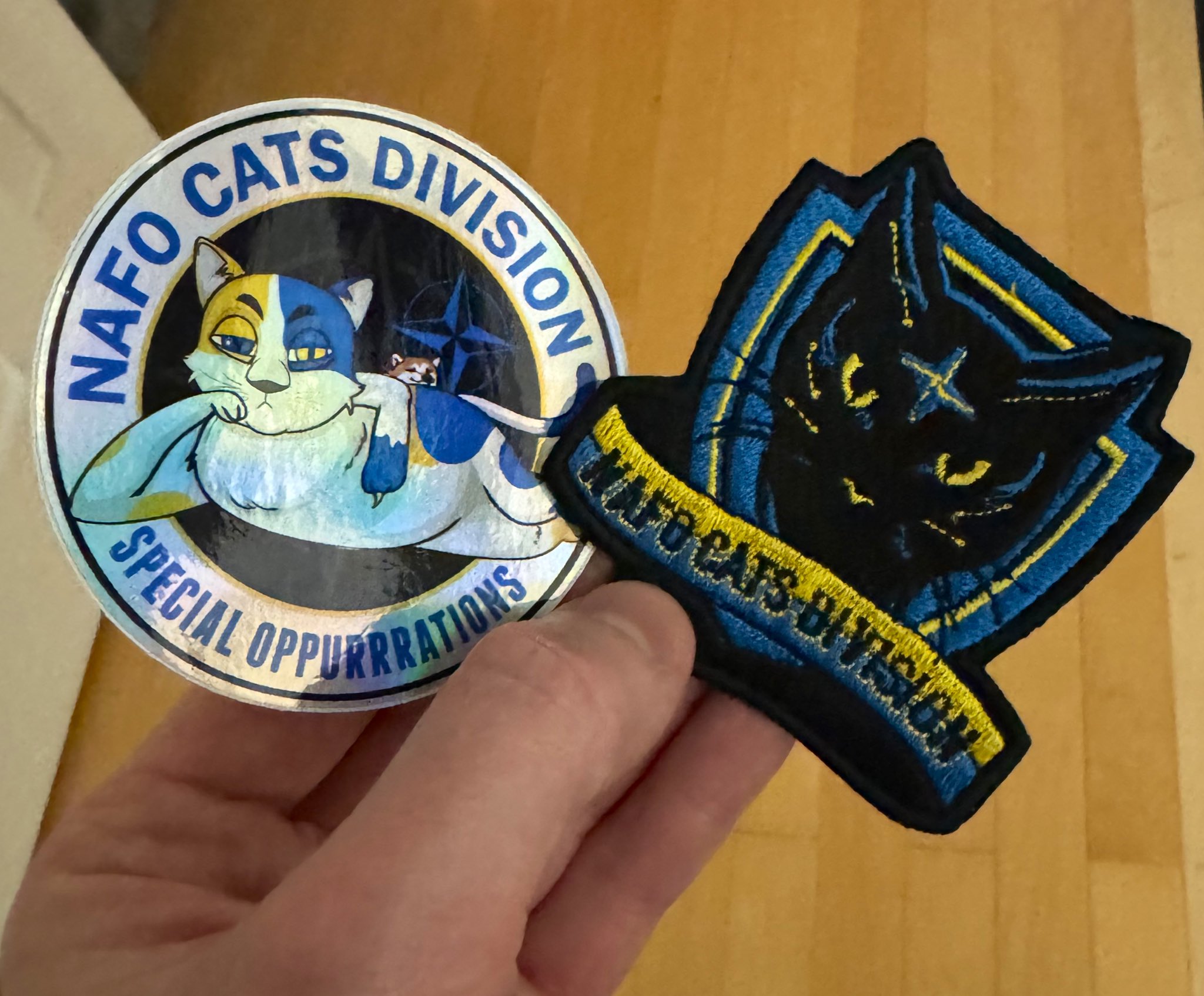 NAFO Cats Division supports Hachiko’s work helping front-line pets