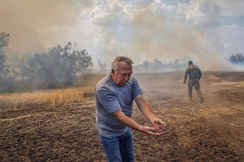 Ukrainian farmers risk harvesting grain as shipments resume