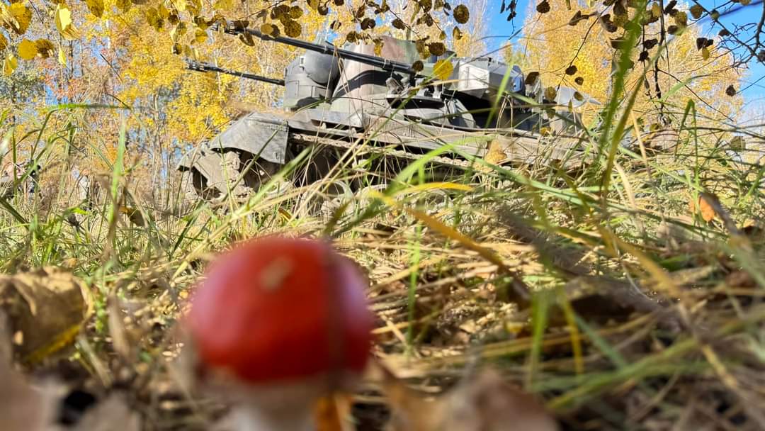 Forest hunters of Air Command ‘Center’ watch for Russian enemy