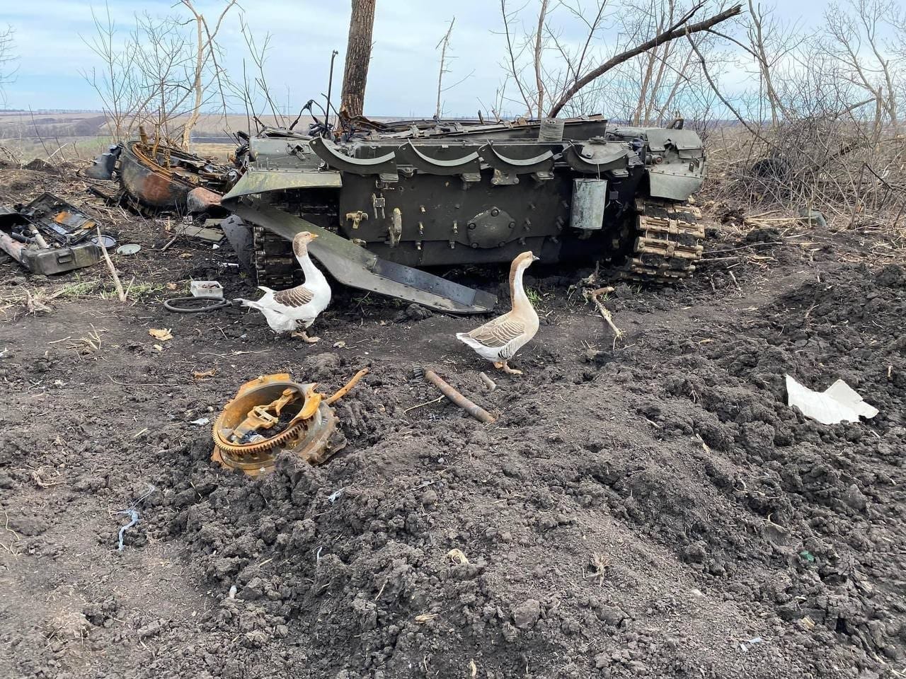 Ukraine’s Goose Battalion Annihilates Enemy Position, Inspects Results