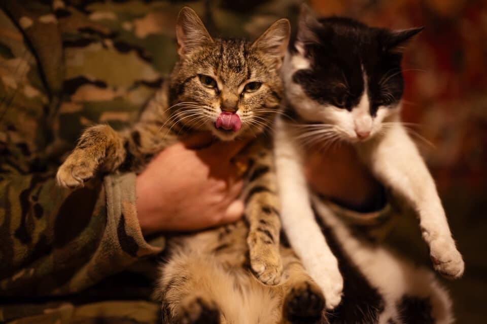 Saved animals together with warriors of the 53rd Separate Mechanized Brigade