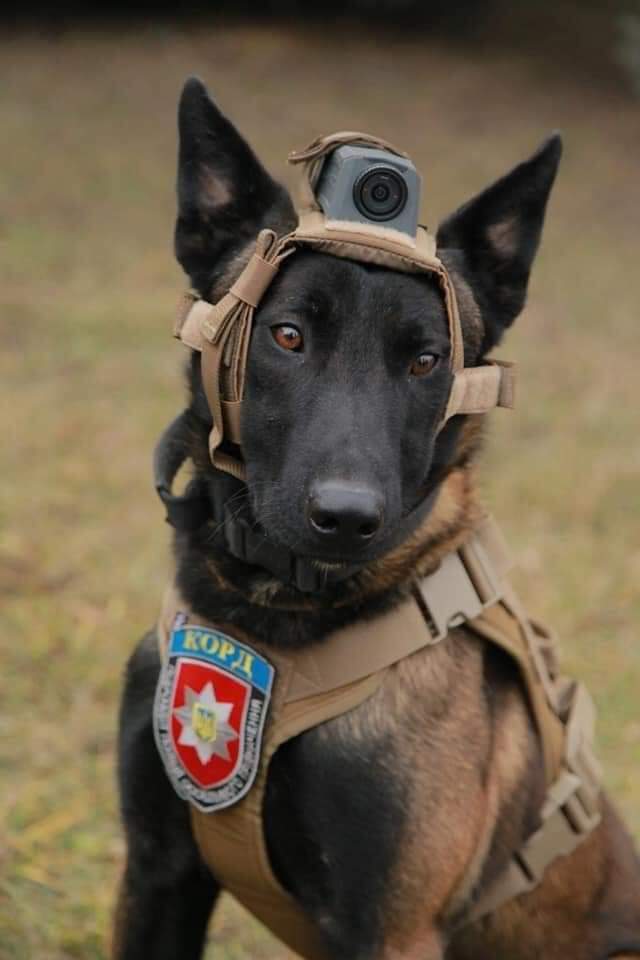 Lord special forces officer serves with friend Roman in Khmelnytskyi region