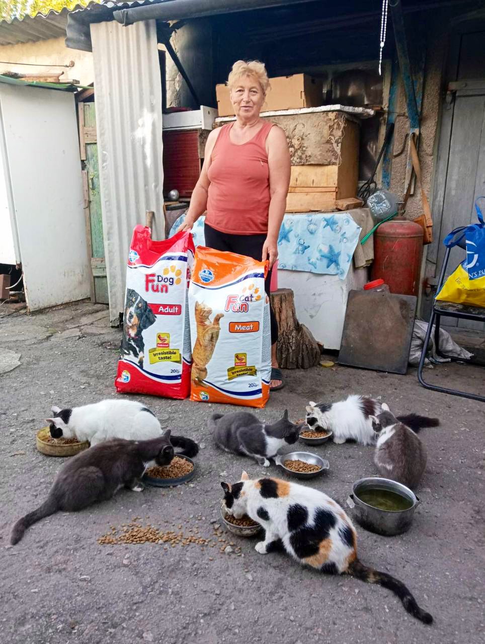 Caturday lunch delivery for displaced pets in Hulyaipole, Ukraine