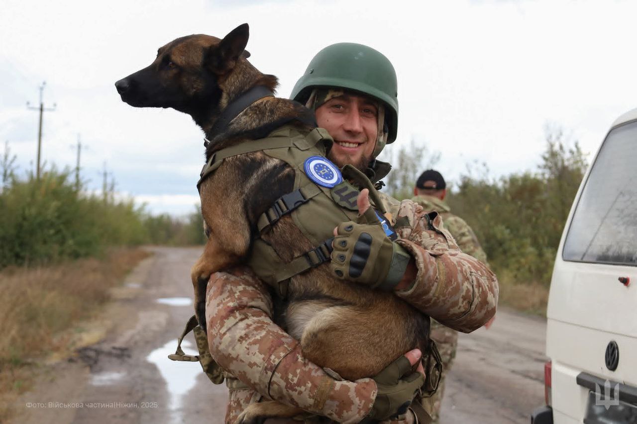 More than 500 service dogs in the Armed Forces of Ukraine for demining