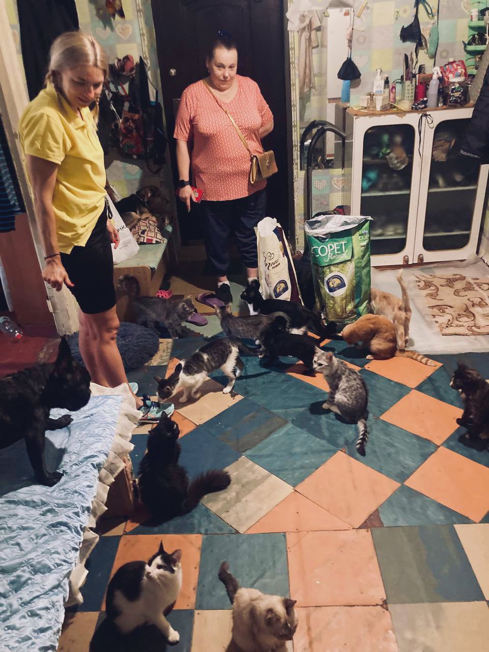 Natalia stays in Kramatorsk caring for 43 cats and 3 dogs