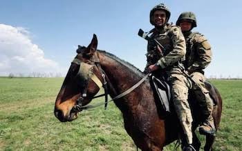 Russia uses horses for supply transport in Ukraine due to fuel shortages