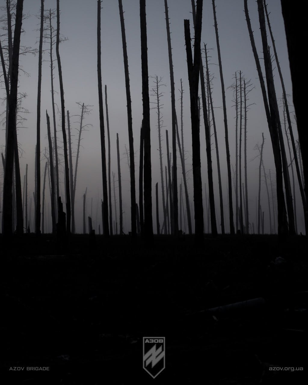 Destruction of Serebryanske Forestry on the frontline