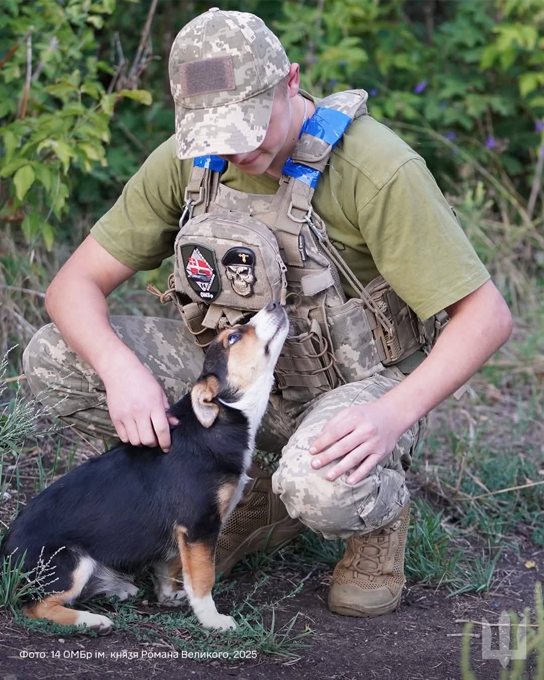 Ukrainian soldiers and their four-legged friends on the front