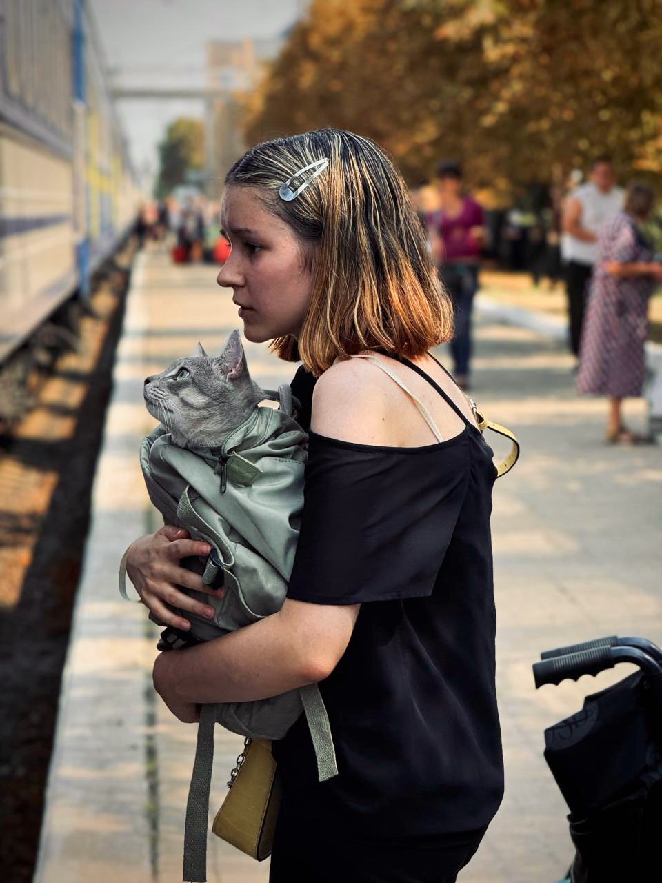 Ukrainian Railways evacuates Pokrovsk residents and their pets