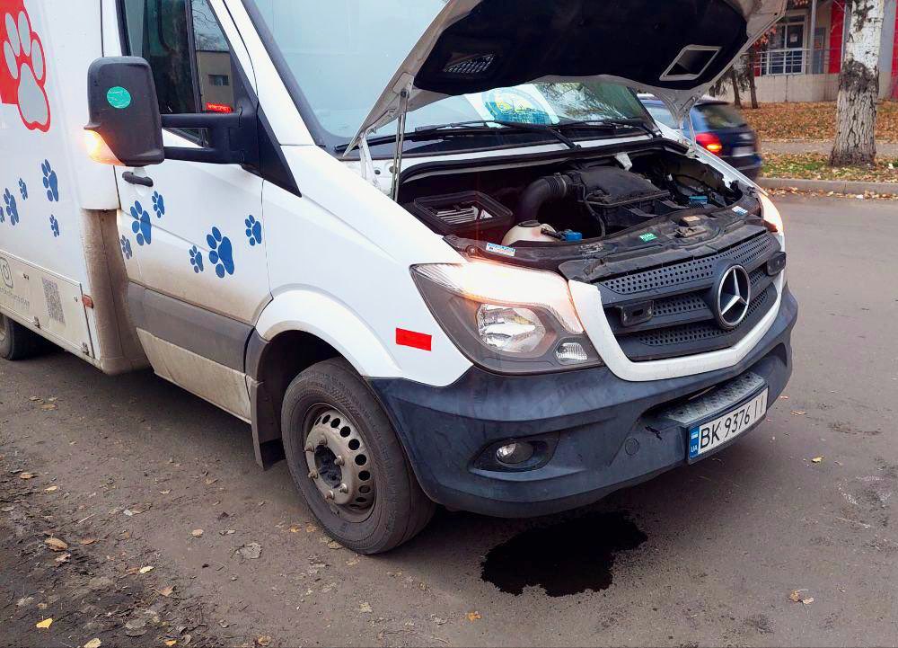 Hachiko Vet Van breaks down in Ukraine, pausing animal sterilizations